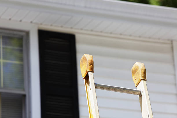 Best Historical Building Siding Restoration  in Elkridge, MD
